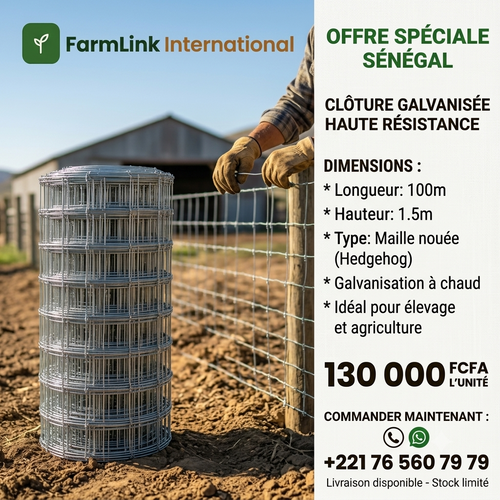 Rouleau de grillage 100 m × 1,5 m